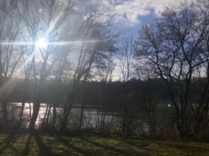 See mit bewaldeten Ufern in der herbstlichen Landschaft der Vulkaneifel.
