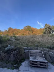 Ferienhaus eifelhausaufzeit in Immerath mit Holzfassade und Blick über die Vulkaneifel.